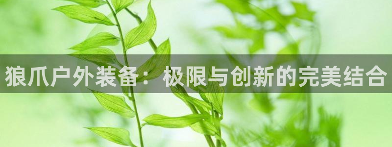 先锋娱乐网
