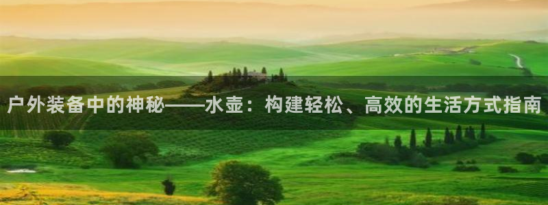 先锋娱乐币