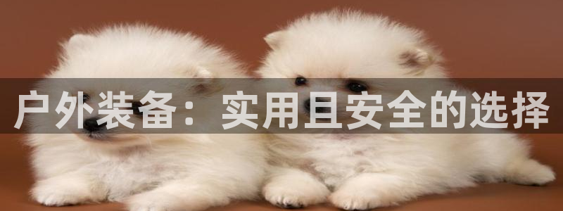 先锋娱乐传媒