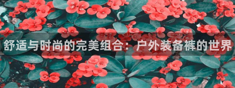 先锋方舟娱乐集团