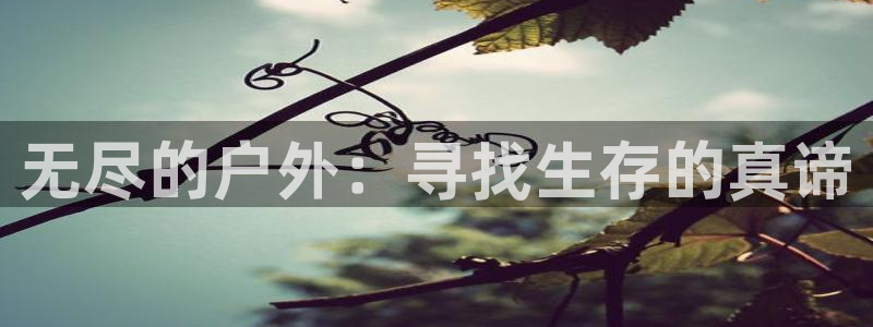 先锋娱乐在线