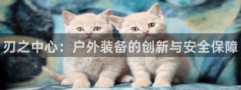 先锋电玩娱乐