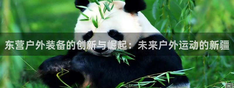 先锋娱乐团