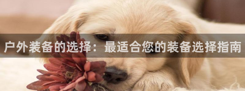 先锋娱乐转进去钱