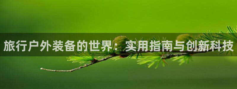 先锋娱乐官
