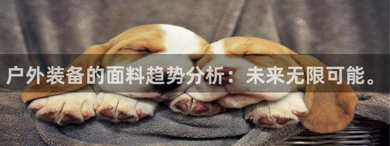 先锋娱乐在线