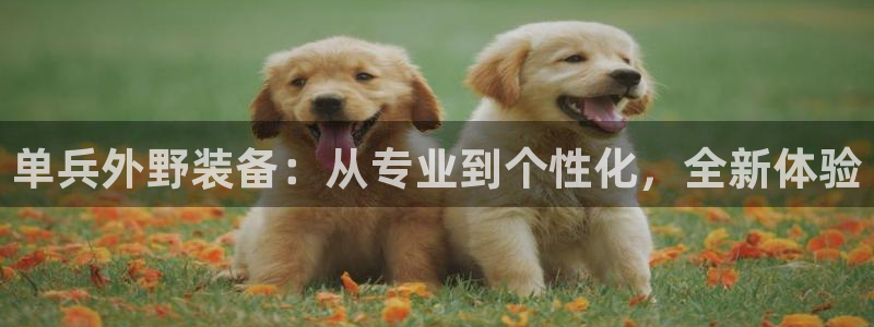 贵州先锋娱乐