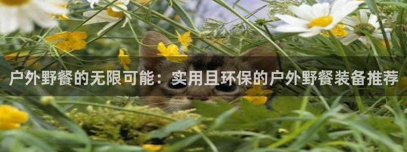 先锋娱乐游戏软件