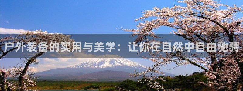 先锋互动娱乐