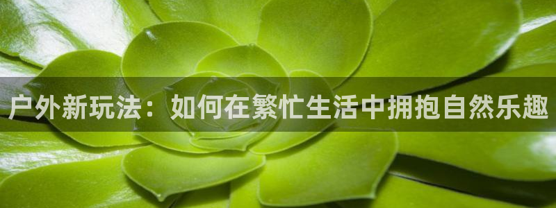 先锋娱乐官网