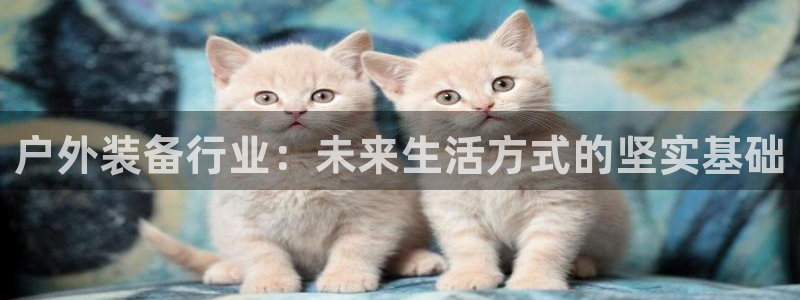 先锋娱乐大厅牛牛