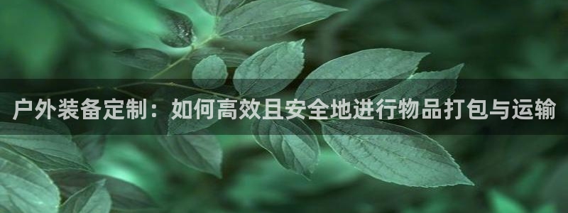 娱乐急先锋全集下载