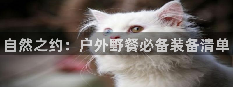 先锋娱乐传媒