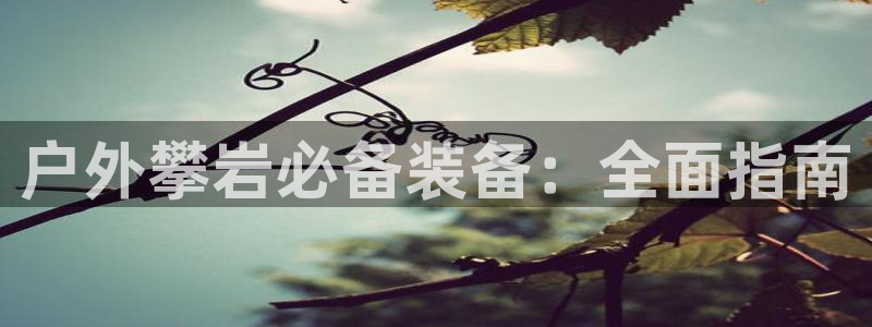 先锋娱乐理财logo