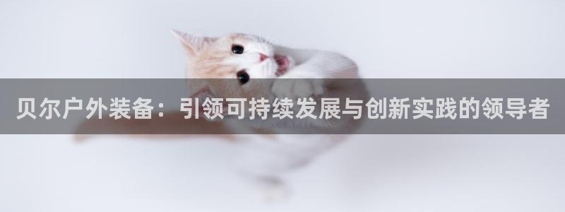 先锋娱乐理财logo