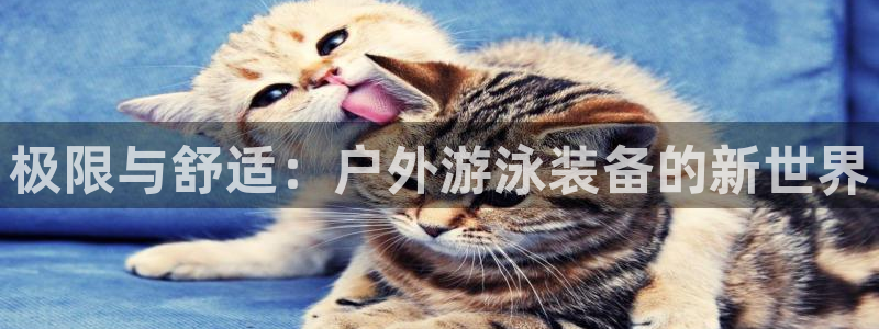 先锋娱乐体育