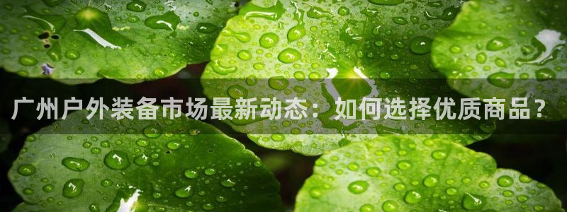 先锋娱乐入口