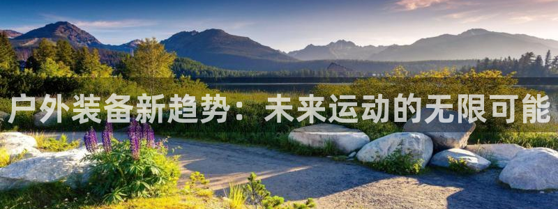 先锋娱乐系统