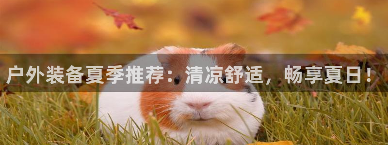 先锋娱乐币