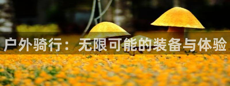 先锋娱乐是不是骗子