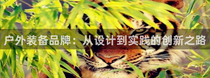 大连先锋娱乐