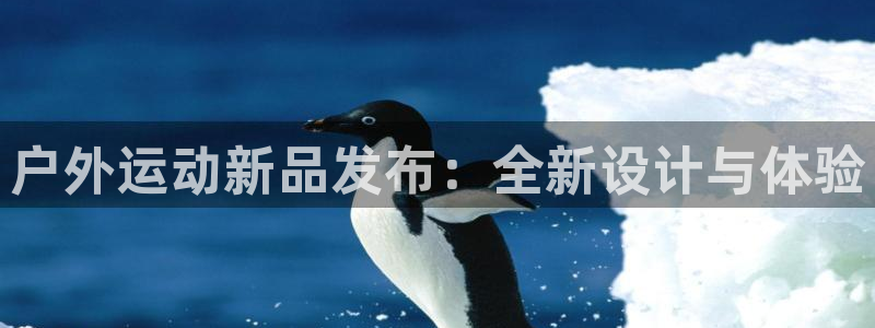 先锋娱乐科技