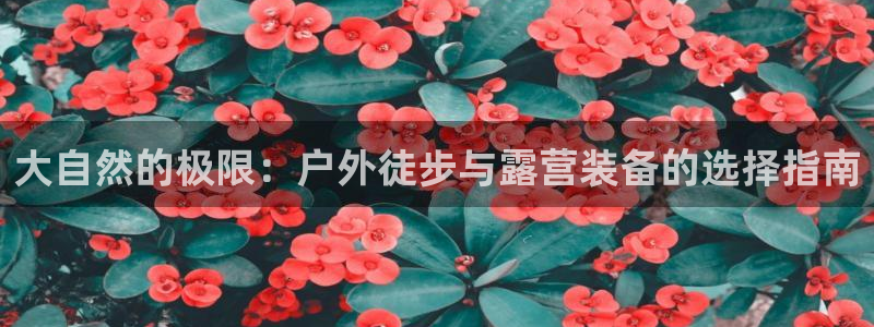 先锋娱乐理财logo