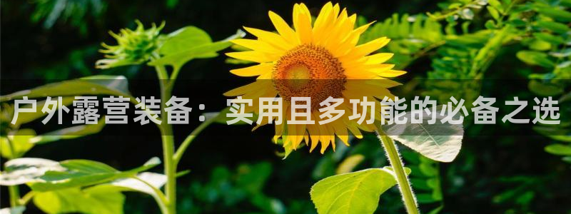先锋娱乐大厅透视