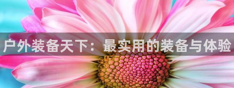 先锋电子车载娱乐系统