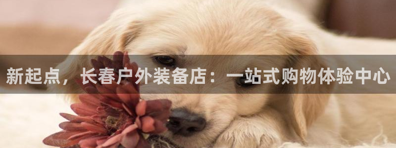 先锋娱乐体育管理集团