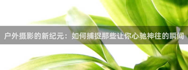 先锋电子车载娱乐系统