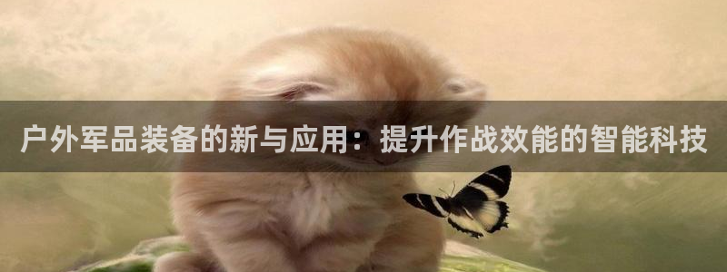 先锋娱乐赛