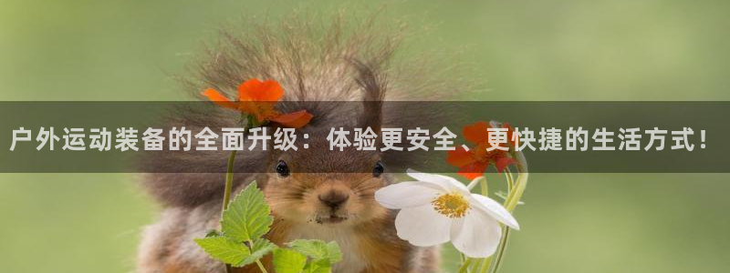 先锋电子旗下先锋娱乐