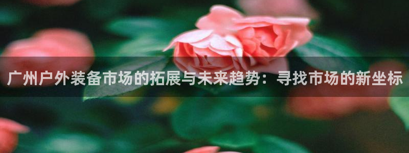 先锋娱乐链接