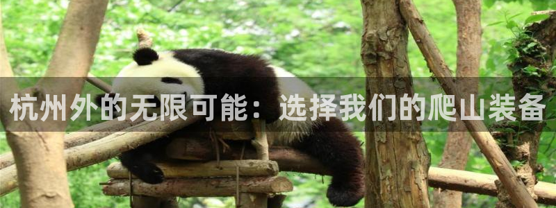 先锋娱乐游戏上分地址