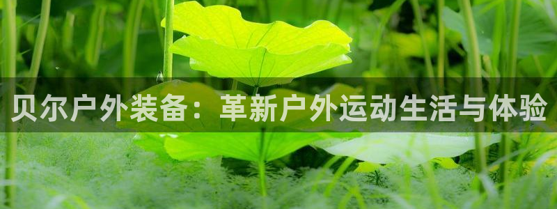 先锋娱乐上分
