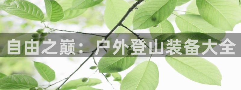 先锋娱乐大厅牛牛