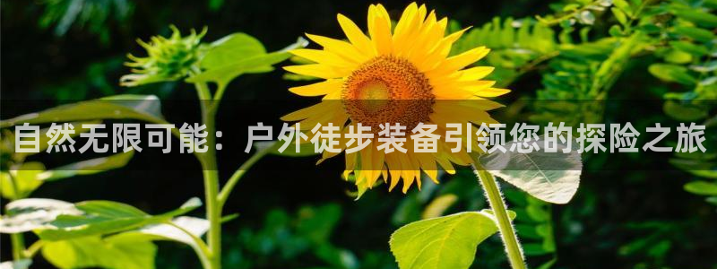 网上炸金花先锋娱乐