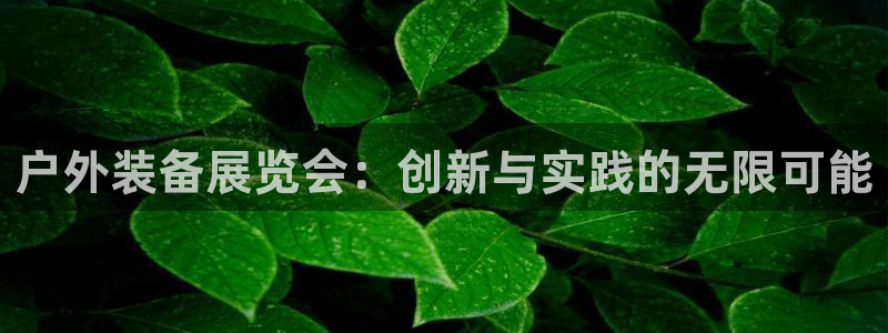 怎么下载先锋娱乐大厅