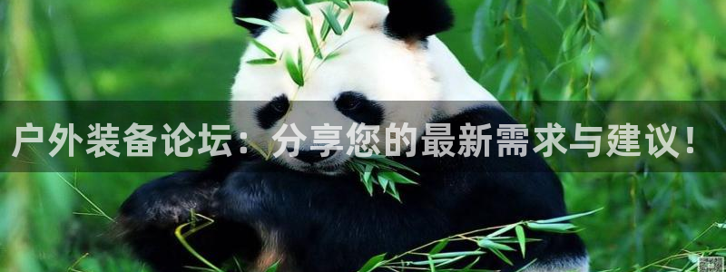 先锋 娱乐