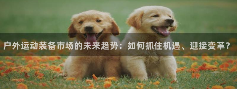 先锋娱乐体育管理集团
