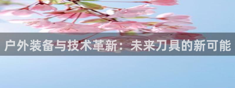 先锋国际娱乐