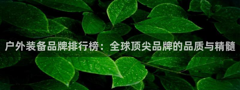 先锋娱乐管理集团怎么样