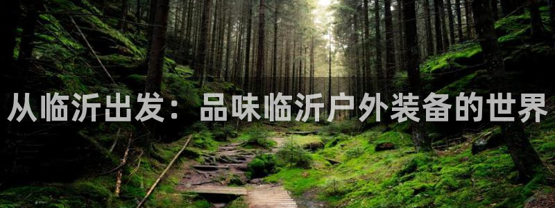 先锋国际娱乐