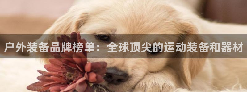 先锋娱乐简介图片