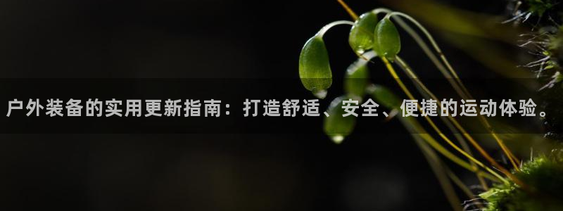 先锋国际娱乐