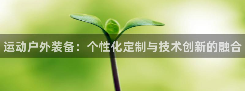 先锋电子车载娱乐系统