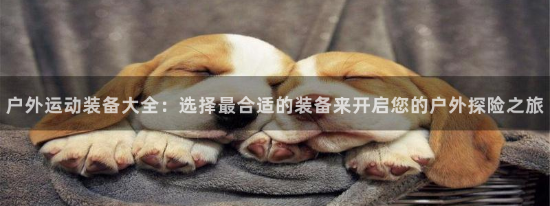 先锋娱乐网