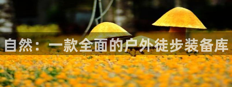 先锋娱乐邀请码多少