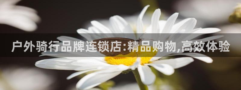 先锋娱乐网67xf